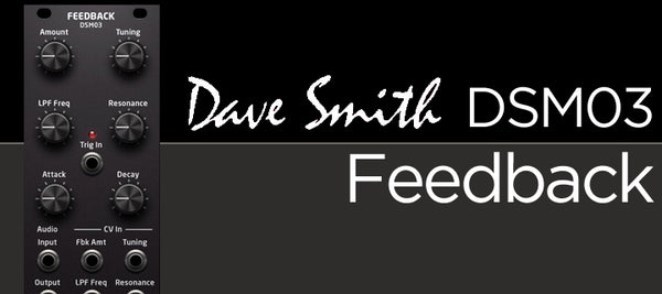 Dave Smith DSM03 Eurorack Feedback Module Revealed