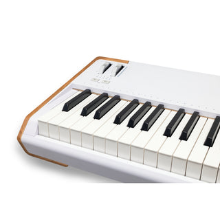 Arturia Astrolab 88