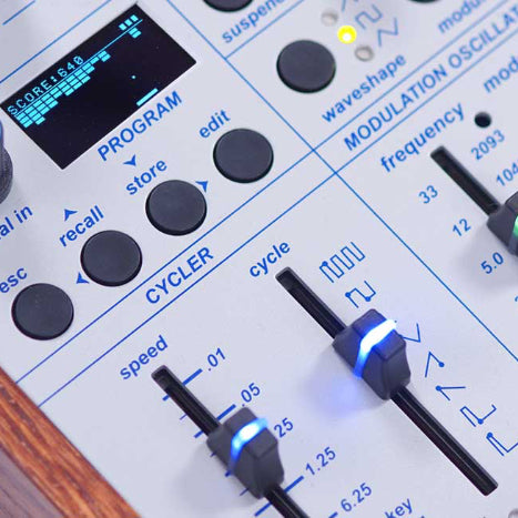 Buchla Ziggy Analog Desktop Synthesizer