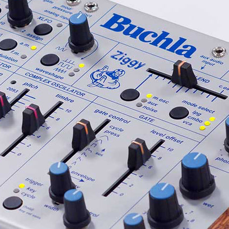 Buchla Ziggy Analog Desktop Synthesizer