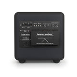 Telegrapher Elephant - Subwoofer