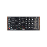 Moog Labyrinth