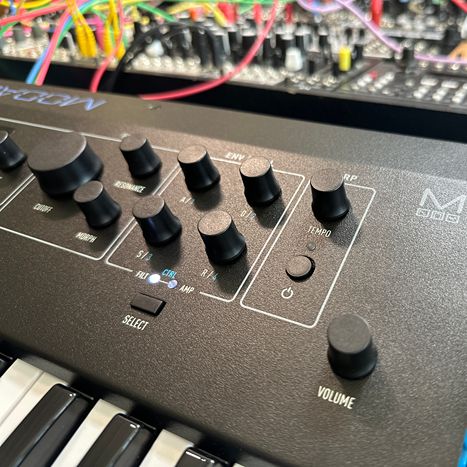 Modal Electronics Element One