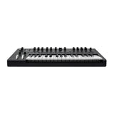 Moog Messenger Monophonic Analog Synthesizer (B-stock)
