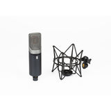 Slate Digital VMS ML-1A Modeling Microphone