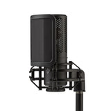Shure KSM32C Cardioid Condenser Microphone Studio Kit