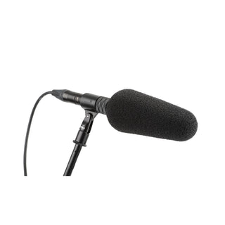 DPA 2017 Shotgun Microphone