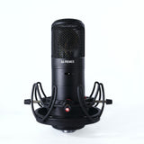 Golden Age Premier GA-8000 (B-Stock)