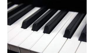Mellotron M4000D Black (B-stock)