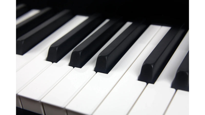 Mellotron M4000D Black (B-stock)