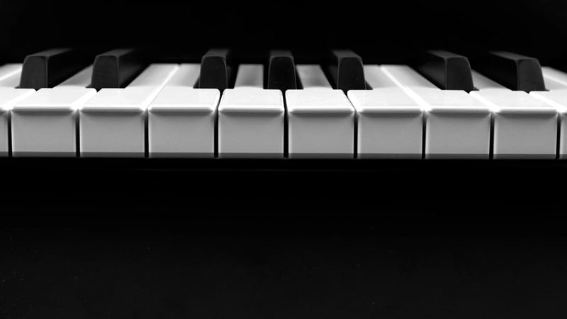Mellotron M4000D Black (B-stock)