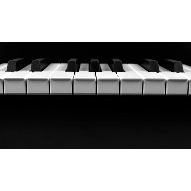 Mellotron M4000D Black