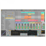 Ableton Live 12 Standard, UPG from Live Intro