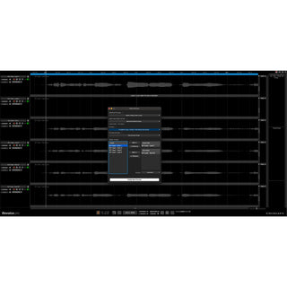 Synchro Arts Revoice Pro 5 – Download