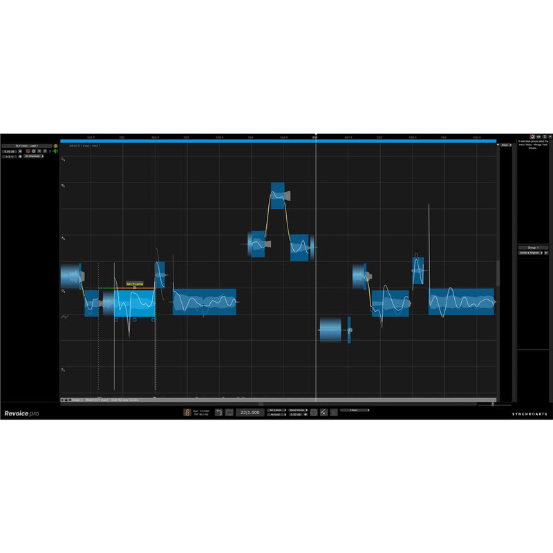 Synchro Arts Revoice Pro 5 – Download