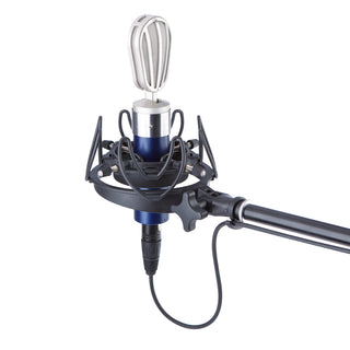 Schoeps V4 USM Set w/ shock mount