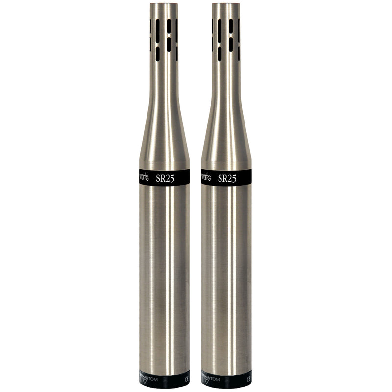 Earthworks SR25 (Matched Pair)