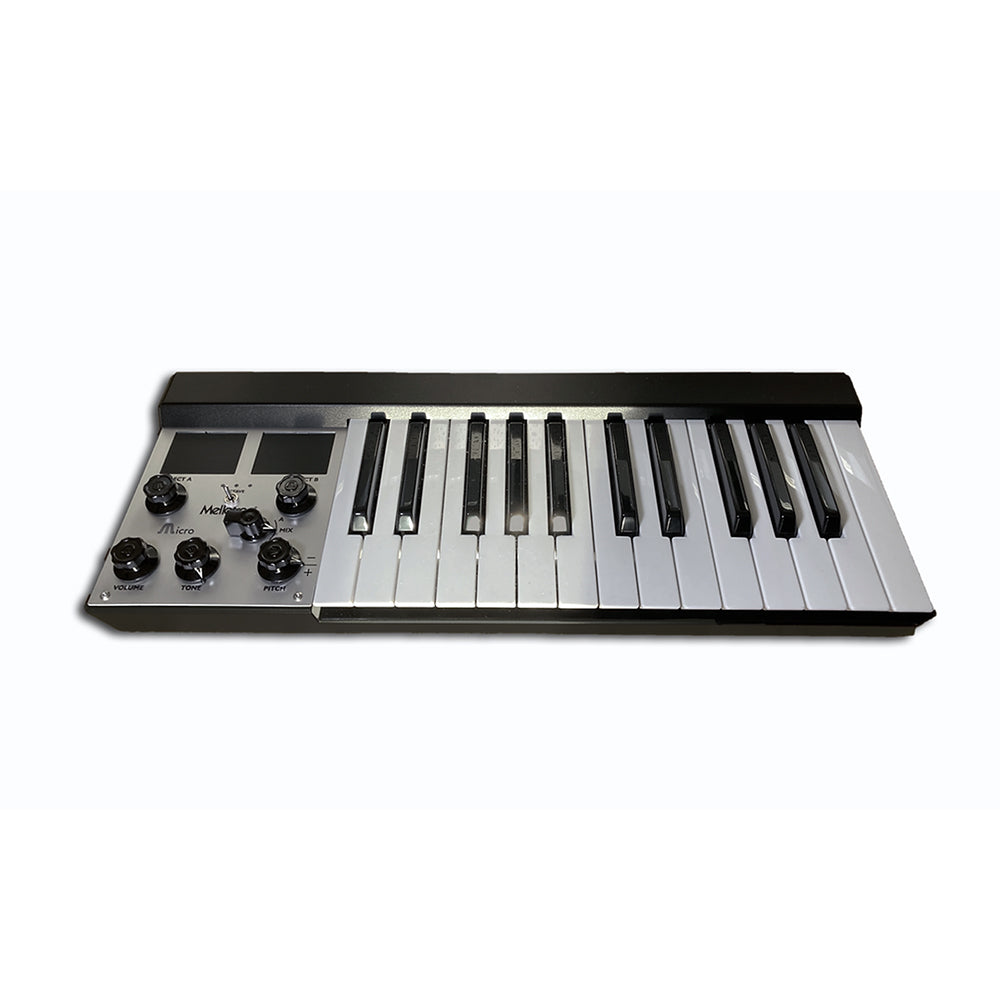 Mellotron Micro Black | KMR Audio