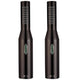 Royer SF-2 Matched Pair